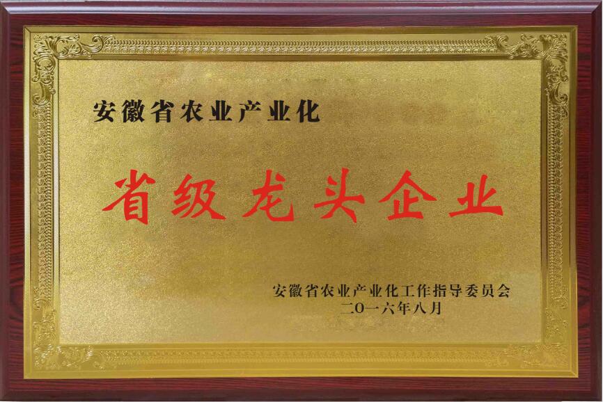 省级龙头企业.jpg
