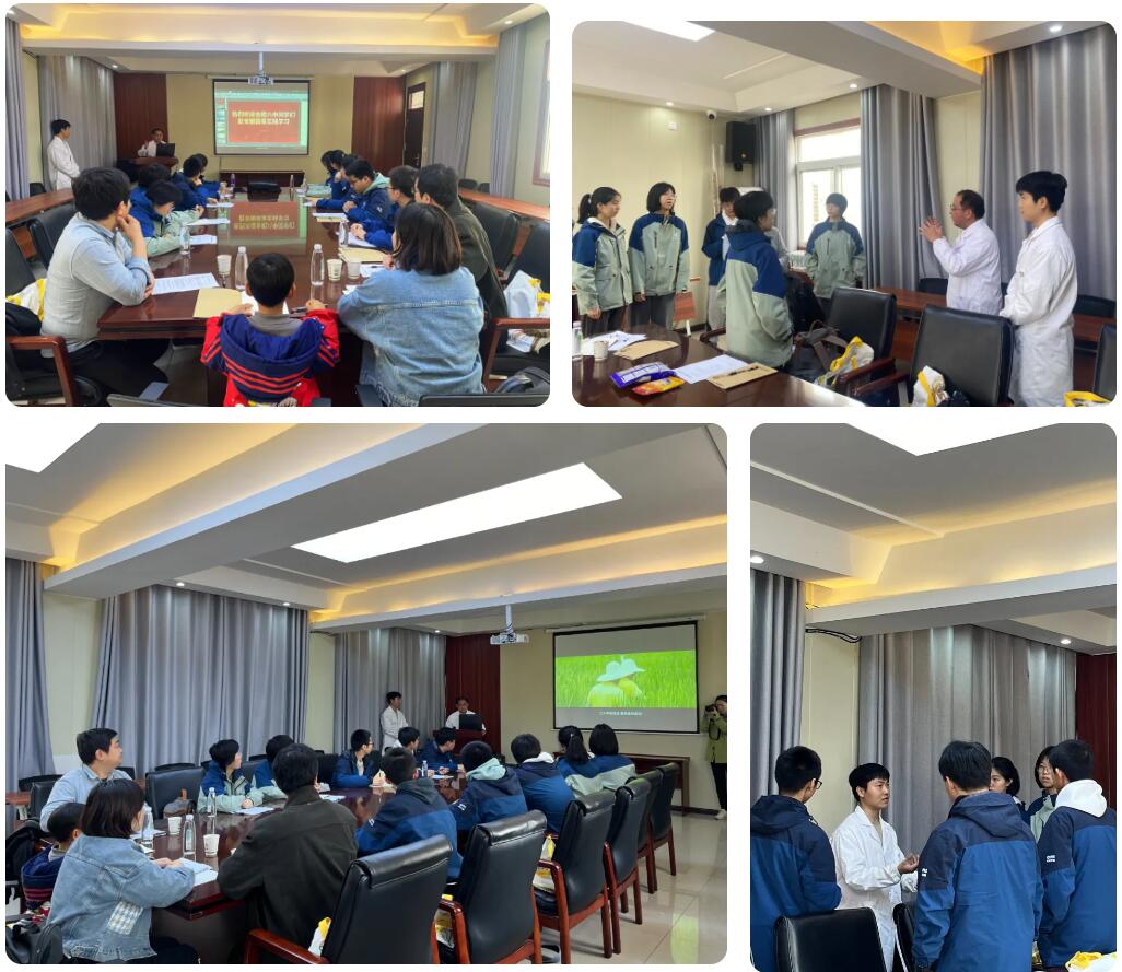 1740970577494901.jpg 1.jpg