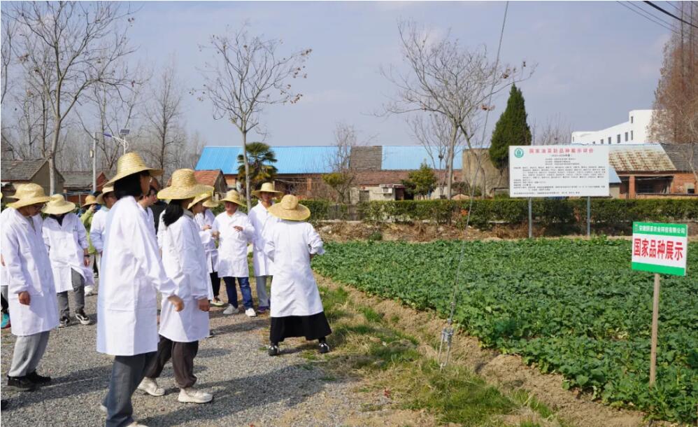 1740970596175546.jpg 2.jpg