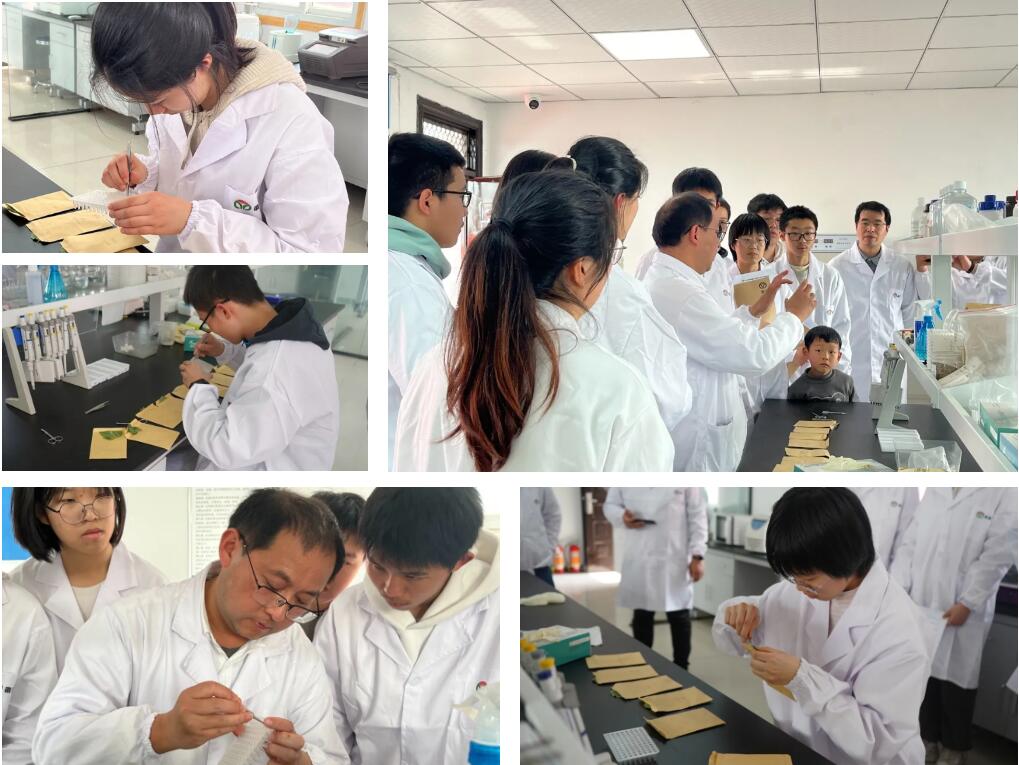 1740970616691223.jpg 3.jpg