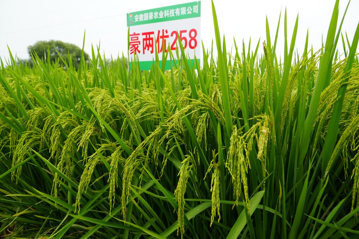 1741761968974862.jpg 111111.jpg