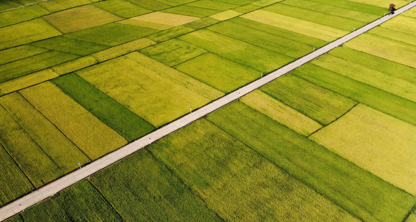 1742870205719672.jpg 5.jpg