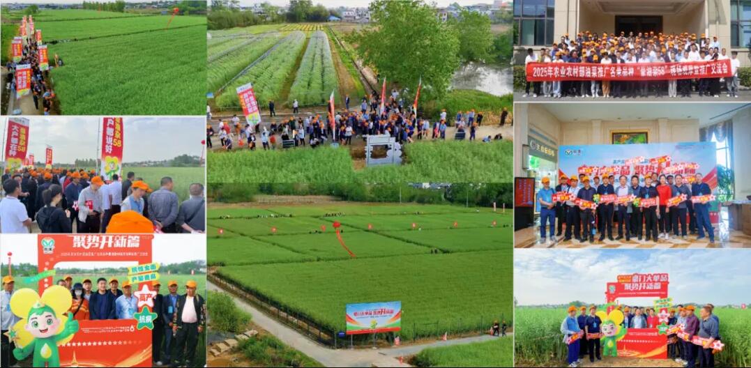 1745721982895844.jpg 1111.jpg