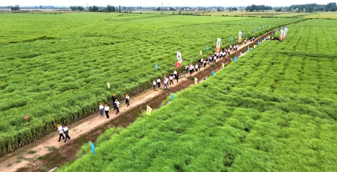 1747010674702757.jpg 1.jpg