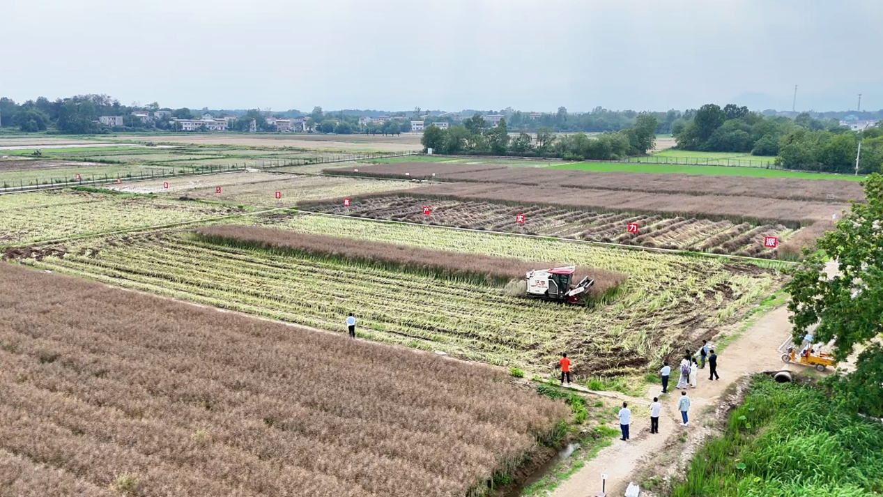 1748330430731320.png 图片1.png