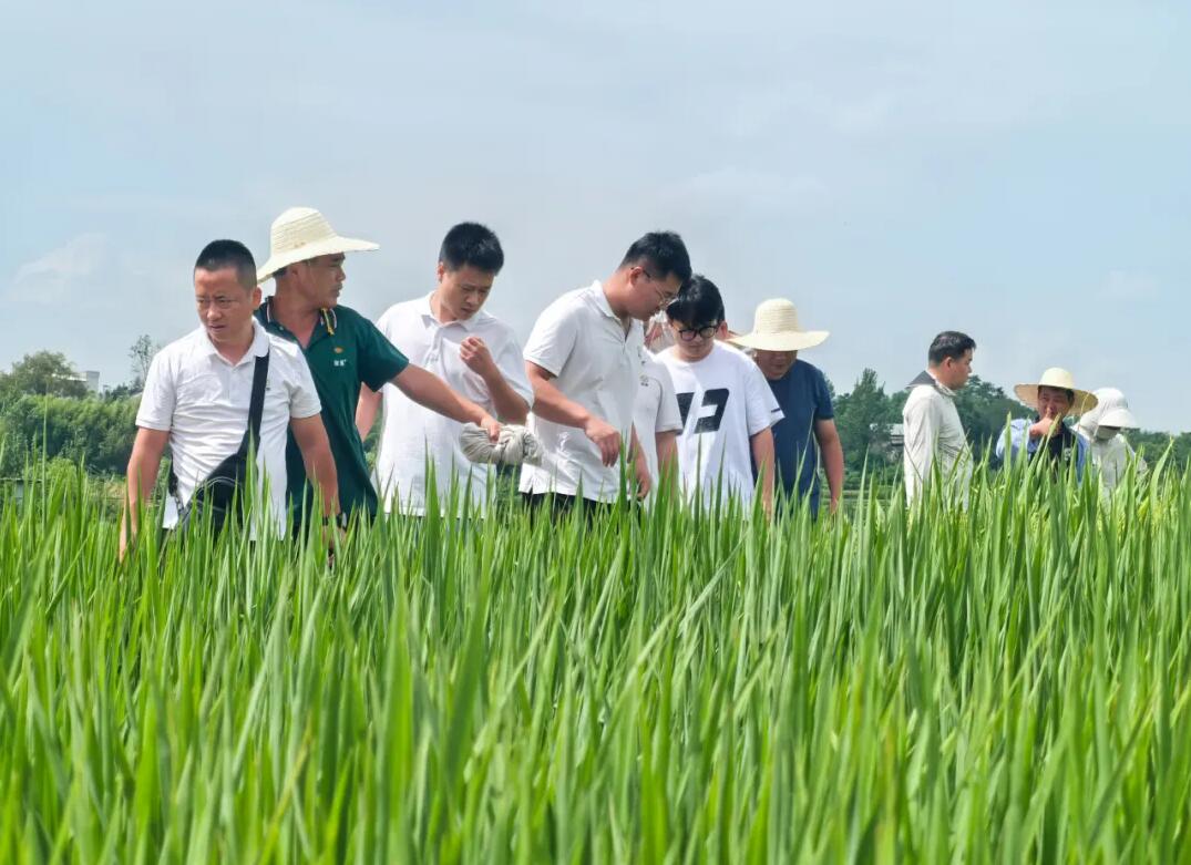 1753941810950973.jpg QQ截图20250731141433.jpg