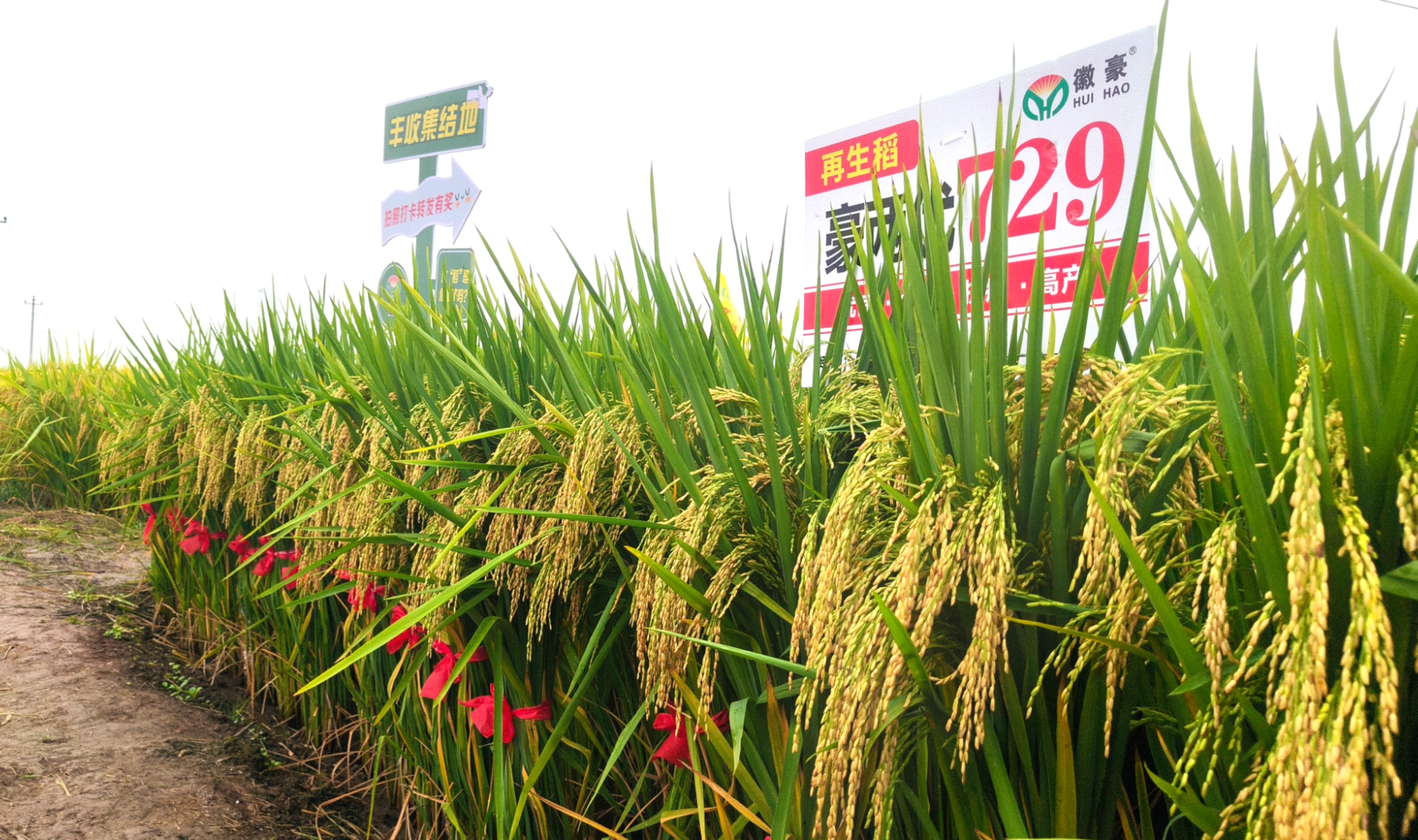 1758612903873725.jpg 微信图片_20250922153722_73_56.jpg