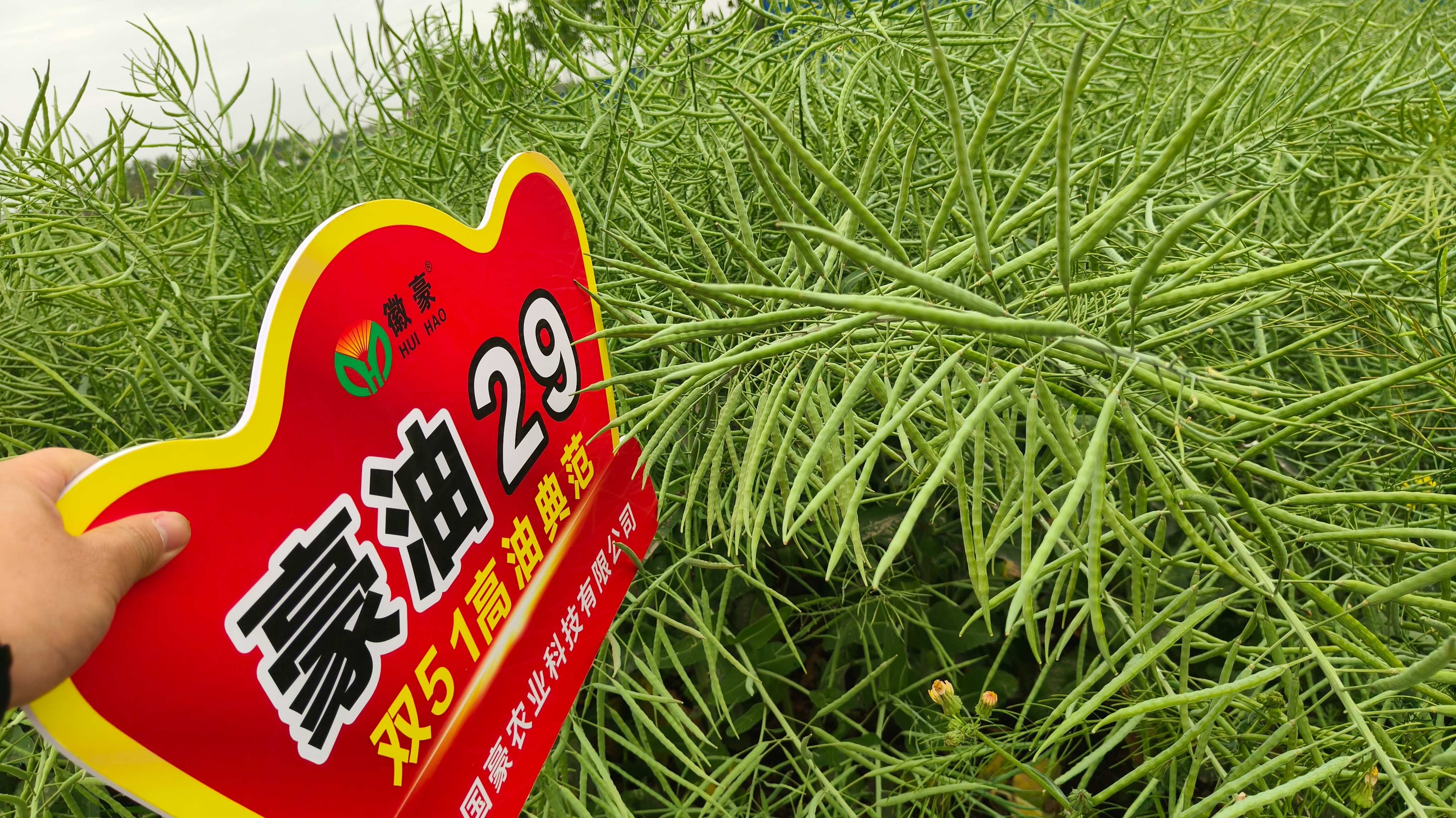 微信图片_20260521090150_13_20(1).jpg